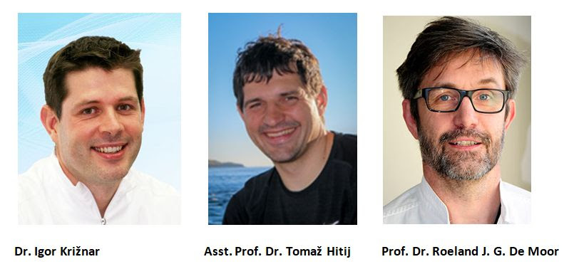 Dr. Igor Kriznar, Asst Prof Dr Tomaz Hitij, and Prof Dr Roeland J G De Moor