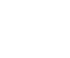 weight, 0.21lb light